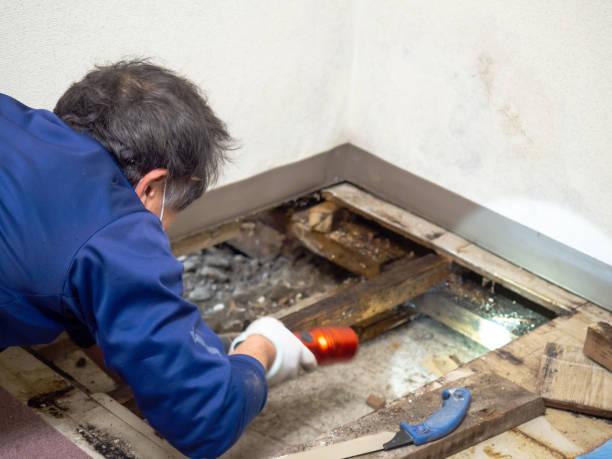 Best Mold Testing  in Keys, OK