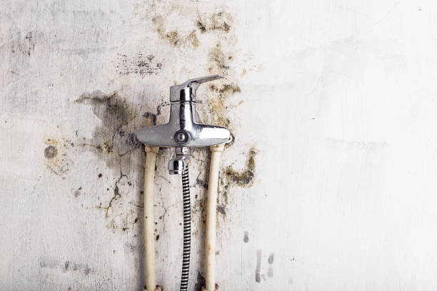 Best Commercial Mold Removal  in Keys, OK