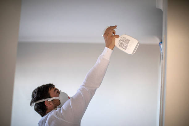 Best Mold Remediation Experts  in Keys, OK