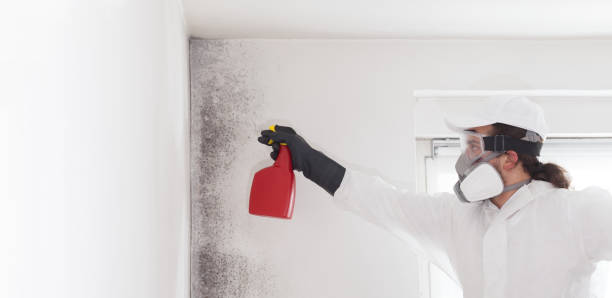 Certified Mold Removal in Keys, OK