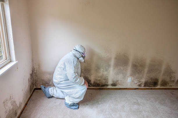 Best Mold Testing  in Keys, OK